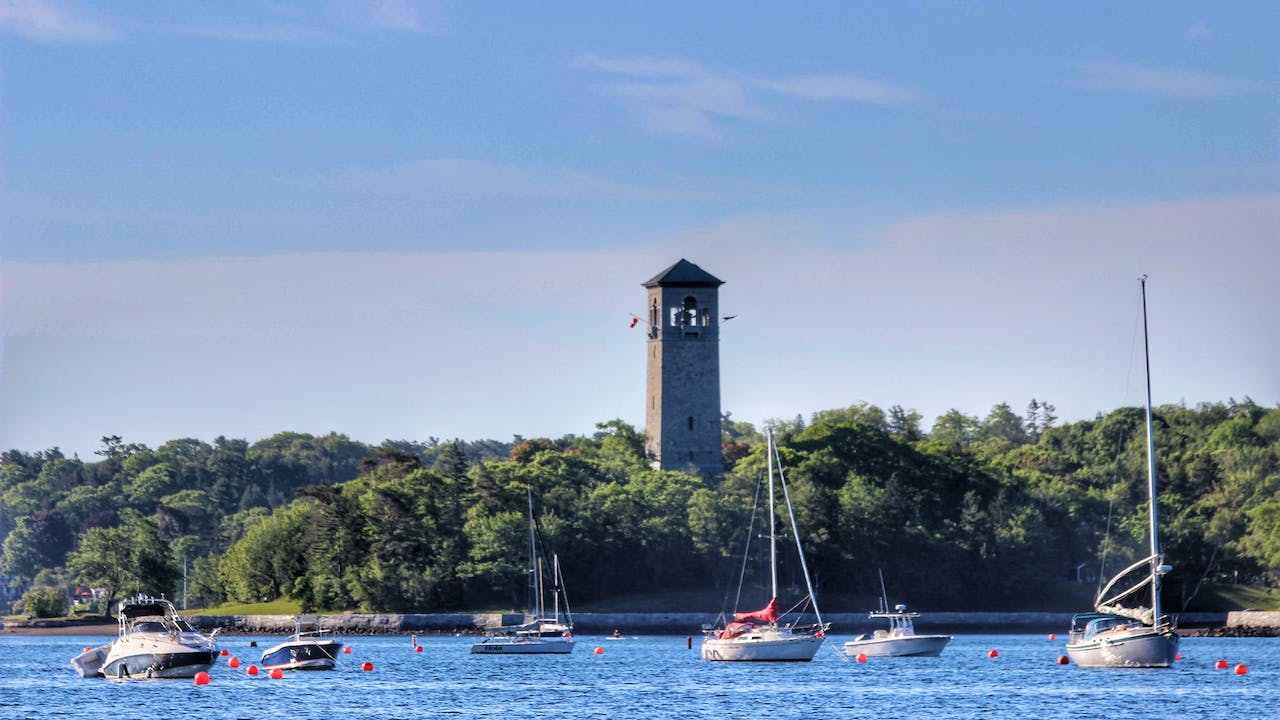 Background Check Halifax Key Things to Know Certn